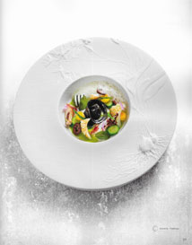 THURIES MAGAZINE:  -  2025