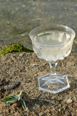 Bacardi Legacy & Χρήστος Κωνσταντινίδης