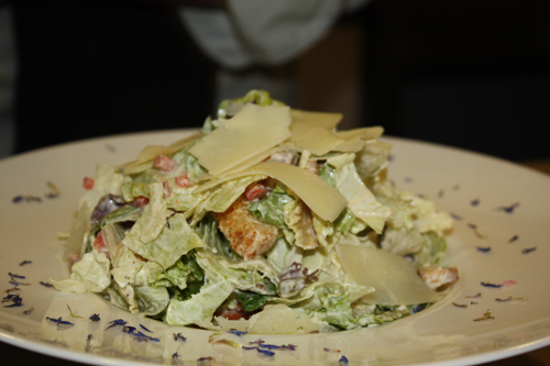 Αλέξανδρος Χαραλαμπόπουλος - Ελληνική Caesar salad με γραβιέρα, σύγκλινο και γιαούρτι