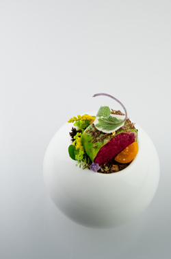 4ο PREMIER GASTRONOMY FESTIVAL