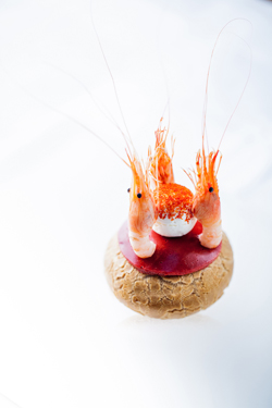 Alain Ducasse Education. Animation Cuisine