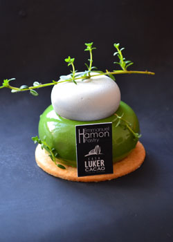 The 'One Type' Cake Project - Αθήνα 2019