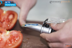 Η Δημιουργία της Γεύσης. Flavor Extraction.