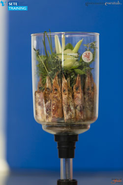 Η Δημιουργία της Γεύσης. Flavor Extraction.