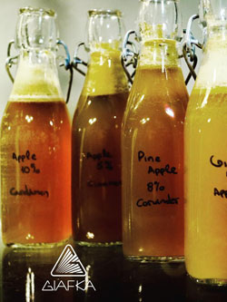 Fermentation Elements, Θεωρία και Πράξη.
