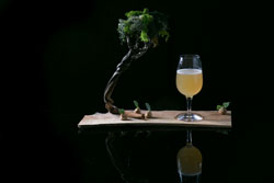 Liquid Gastronomy. Από την Θεωρία στην Πράξη.