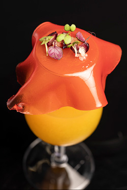 Liquid Gastronomy - Από τη Θεωρία στην Πράξη