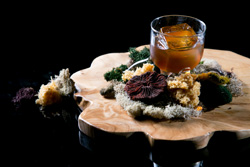 Liquid Gastronomy - Από τη Θεωρία στην Πράξη