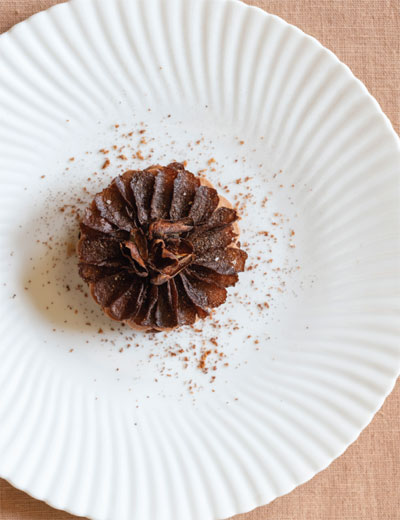ADN Ducasse - Amaury Meurice