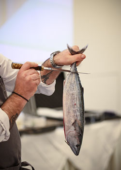 ������� ��������, ����� - ����� - �����