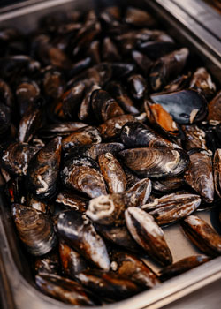 ������� ��������, ����� - ����� - �����