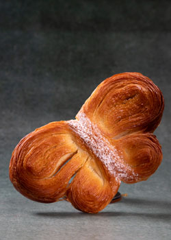 All about Croissant