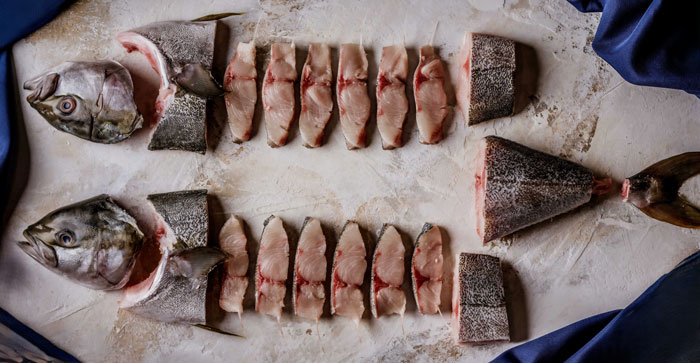 Fin to Gill. ������������ �������� �� ����