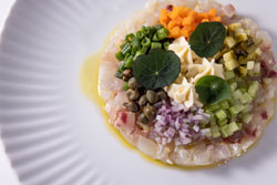 Fin to Gill. ������������ �������� �� ����