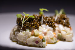 Fin to Gill. ������������ �������� �� ����