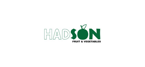 HADSON logo